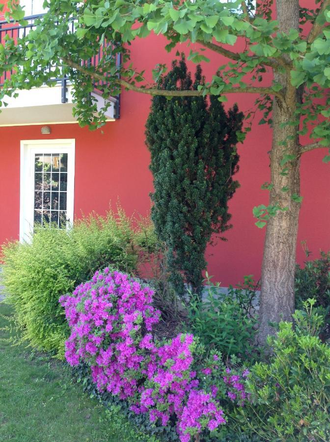 'L Sass Borgomanero Exterior foto